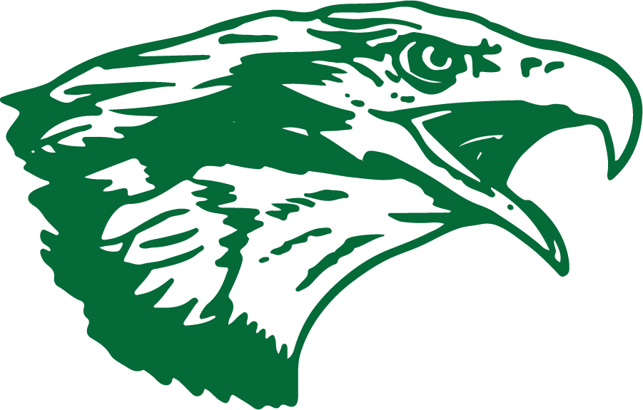North Texas Mean Green 1994-1995 Primary Logo diy iron on heat transfer